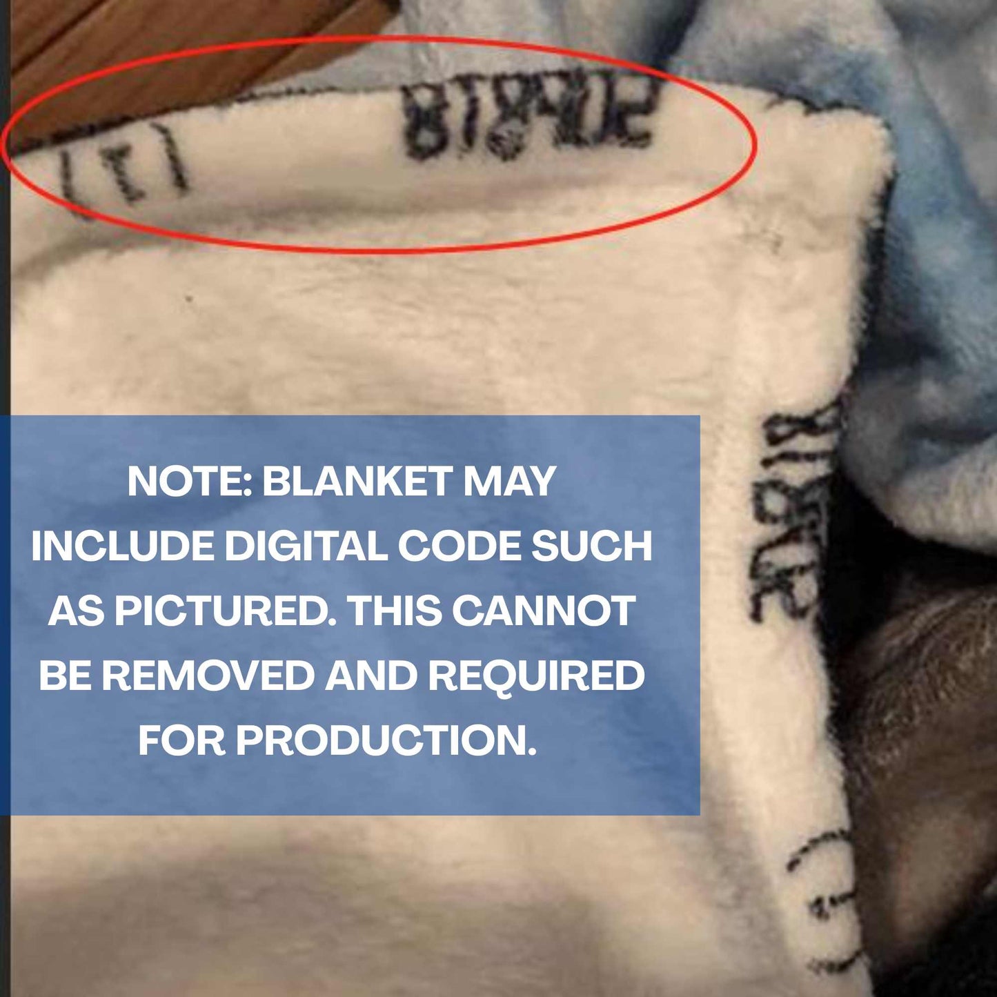 Ultra-Soft Micro Fleece Photo Blanket